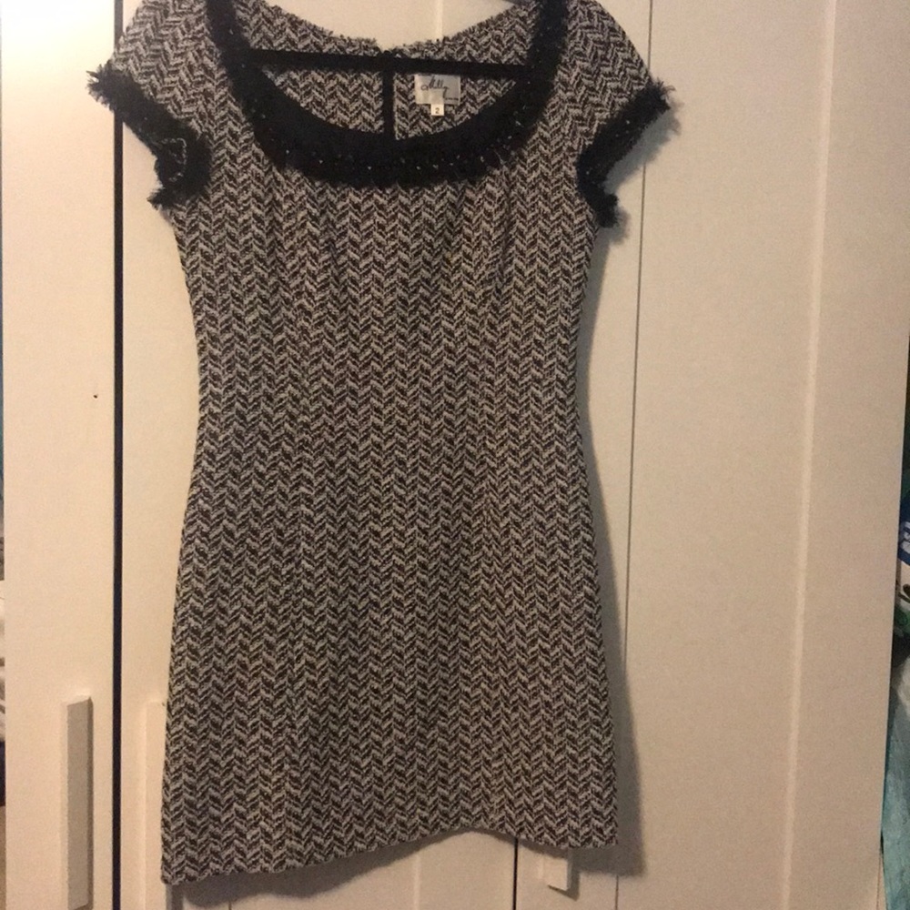 Dress. Has black silk lining
